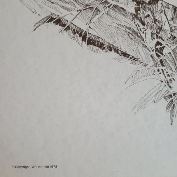 Logging Scene Steam Donkey Print Monochrome Sketch Print Clif Hadfield 1978 - Picture 5 of 5